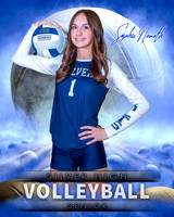 Dream Team Volleyball Individual Template