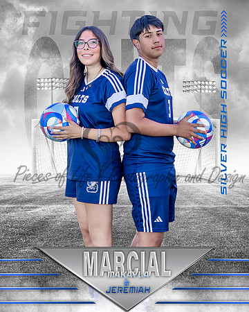 White Out Soccer Individual Template