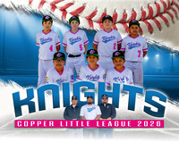 Bayard Knights