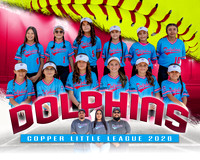 Dolphins