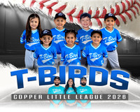 T-Birds