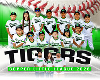 Tigers
