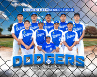 Senior League Dodgers