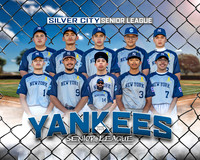Senior League Yankees