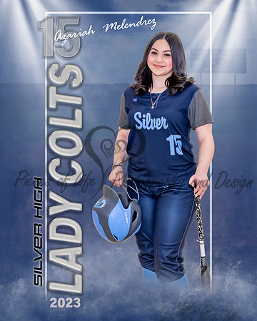 In The Spotlight Individual Template