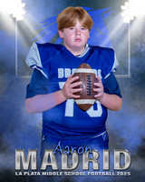 La Plata Football