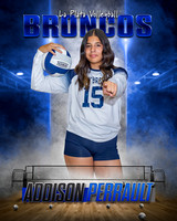 La Plata Volleyball