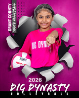 3 4 Dig Dynasty
