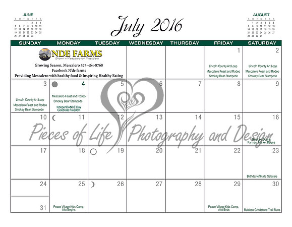 #1 Calendar 2015