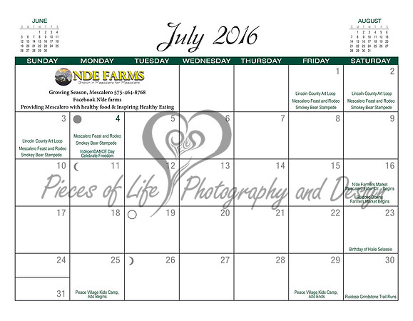 #1 Calendar 2015
