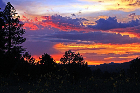 New Mexico Sunset