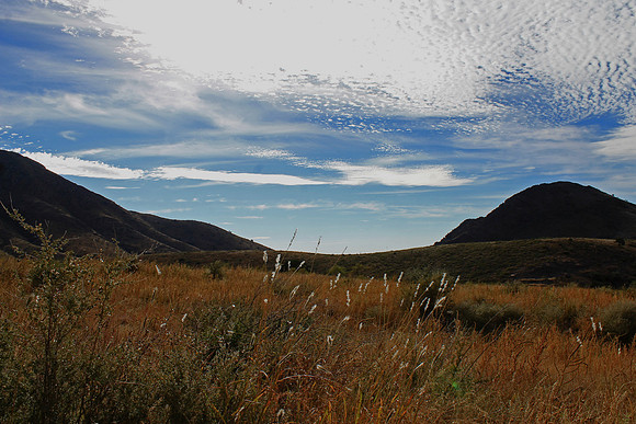 Organ Mountains