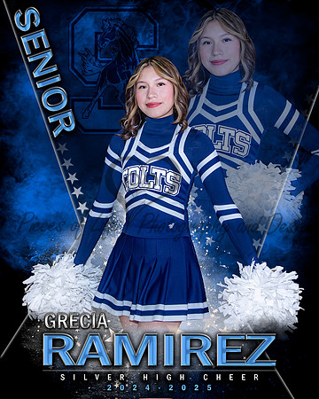 MVP Cheer Dance Pom Gymnastics Main Template