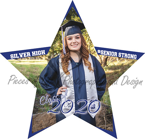 yardsign-star-23inx22in