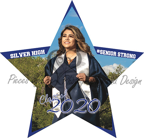 yardsign-star-23inx22in