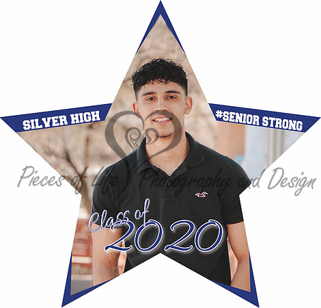 yardsign-star-23inx22in