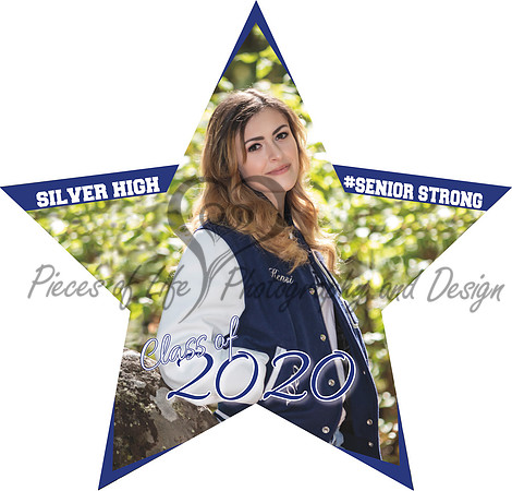yardsign-star-23inx22in