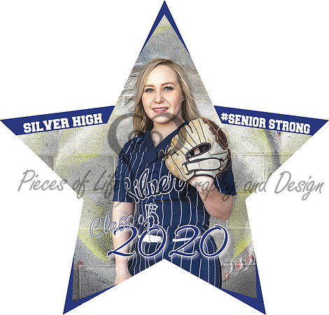 yardsign-star-23inx22in
