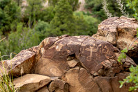 Dragonfly Petroglyph