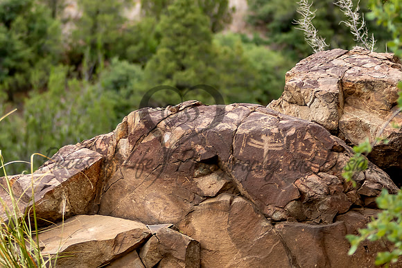 Dragonfly Petroglyph