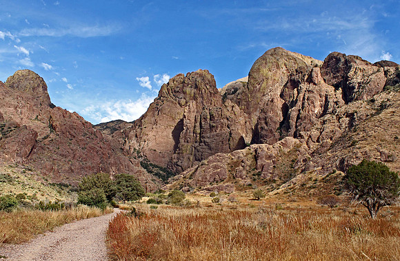 Organ Mountains