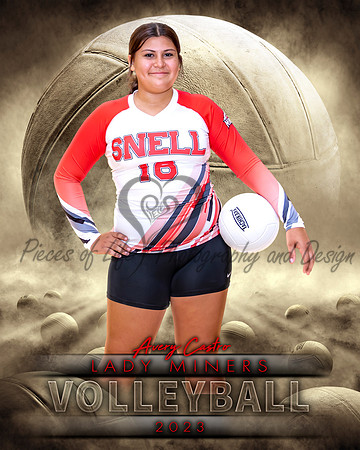 Dream Team Volleyball Individual Template
