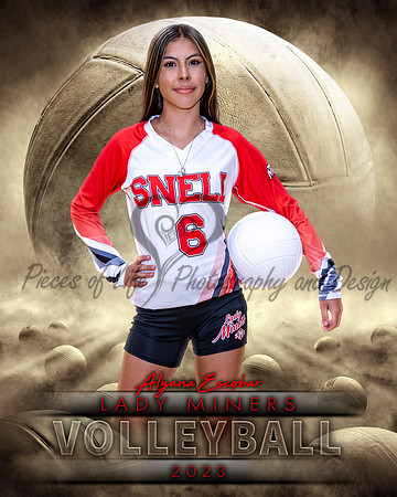 Dream Team Volleyball Individual Template