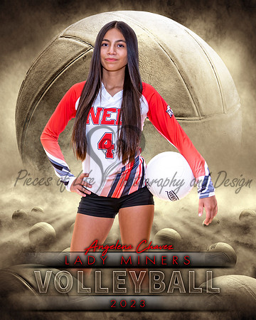 Dream Team Volleyball Individual Template