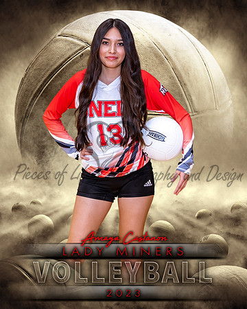 Dream Team Volleyball Individual Template