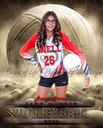 Dream Team Volleyball Individual Template