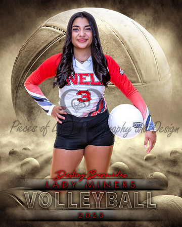 Dream Team Volleyball Individual Template