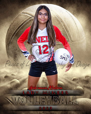 Dream Team Volleyball Individual Template