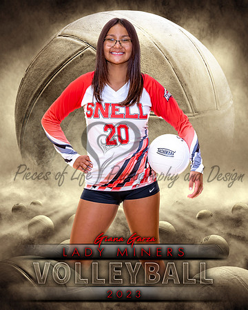 Dream Team Volleyball Individual Template