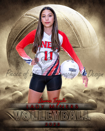 Dream Team Volleyball Individual Template
