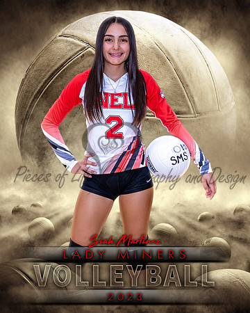 Dream Team Volleyball Individual Template