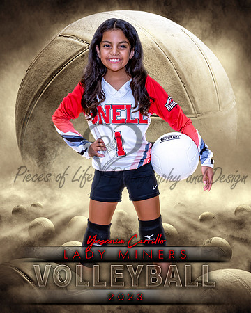 Dream Team Volleyball Individual Template