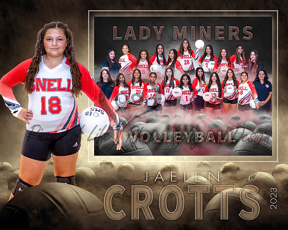 Dream Team Volleyball SportsMate Template