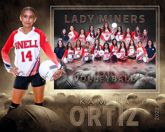Dream Team Volleyball SportsMate Template