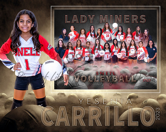 Dream Team Volleyball SportsMate Template