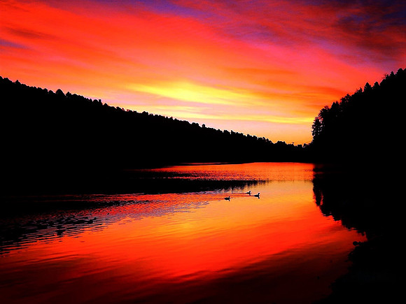 4. Eric Griffin - Alto Lake