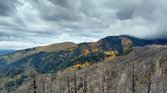 20. Kelley Locke - Fall View from Ski Run Road