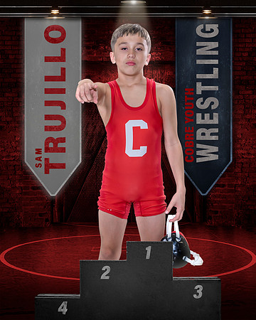Whatever It Takes Individual Template