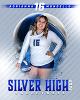 2022 SHS Volleyball Team Pictures