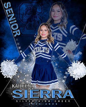 MVP Cheer Dance Pom Gymnastics Main Template