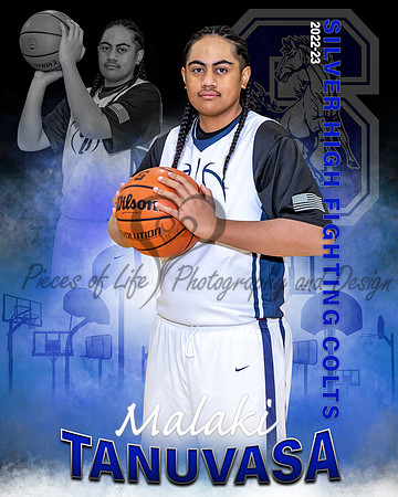 Hoop Horizon Individual Template