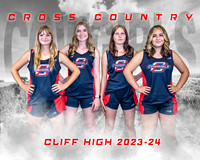 White Out Cross Country Main Template