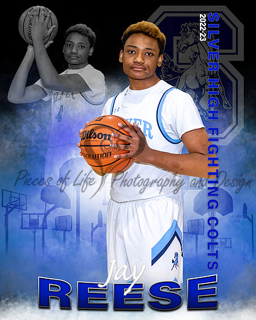 Hoop Horizon Individual Template