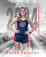 White Out Cross Country Individual Template