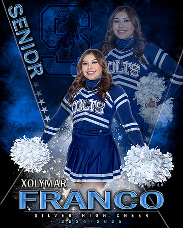 MVP Cheer Dance Pom Gymnastics Main Template