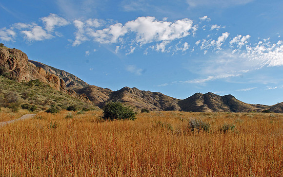 Organ Mountains